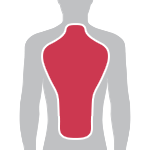 Boss Base Layer with Back & Elbow Protection