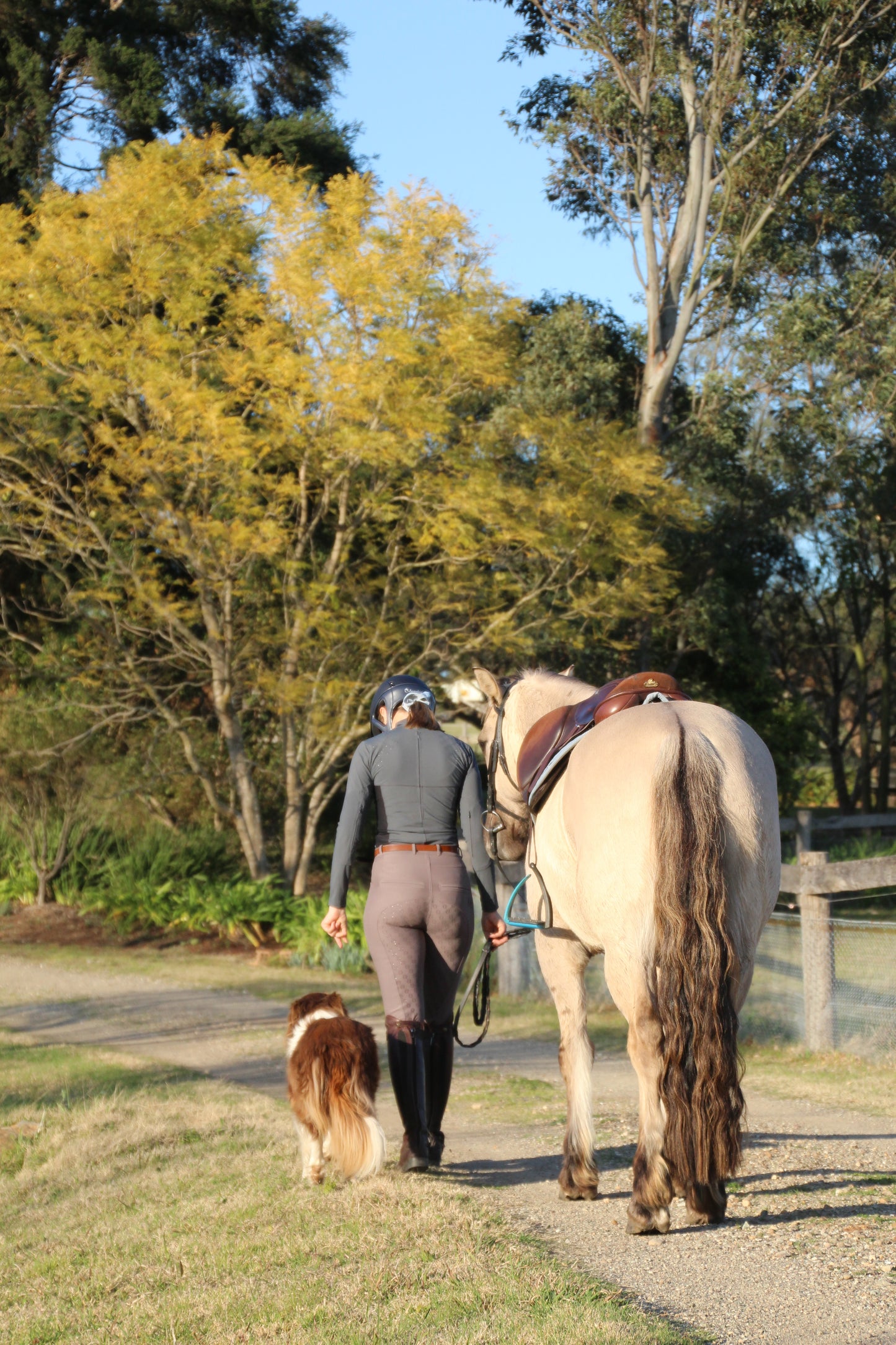 Felix Breeches in Stone with Hip Protection