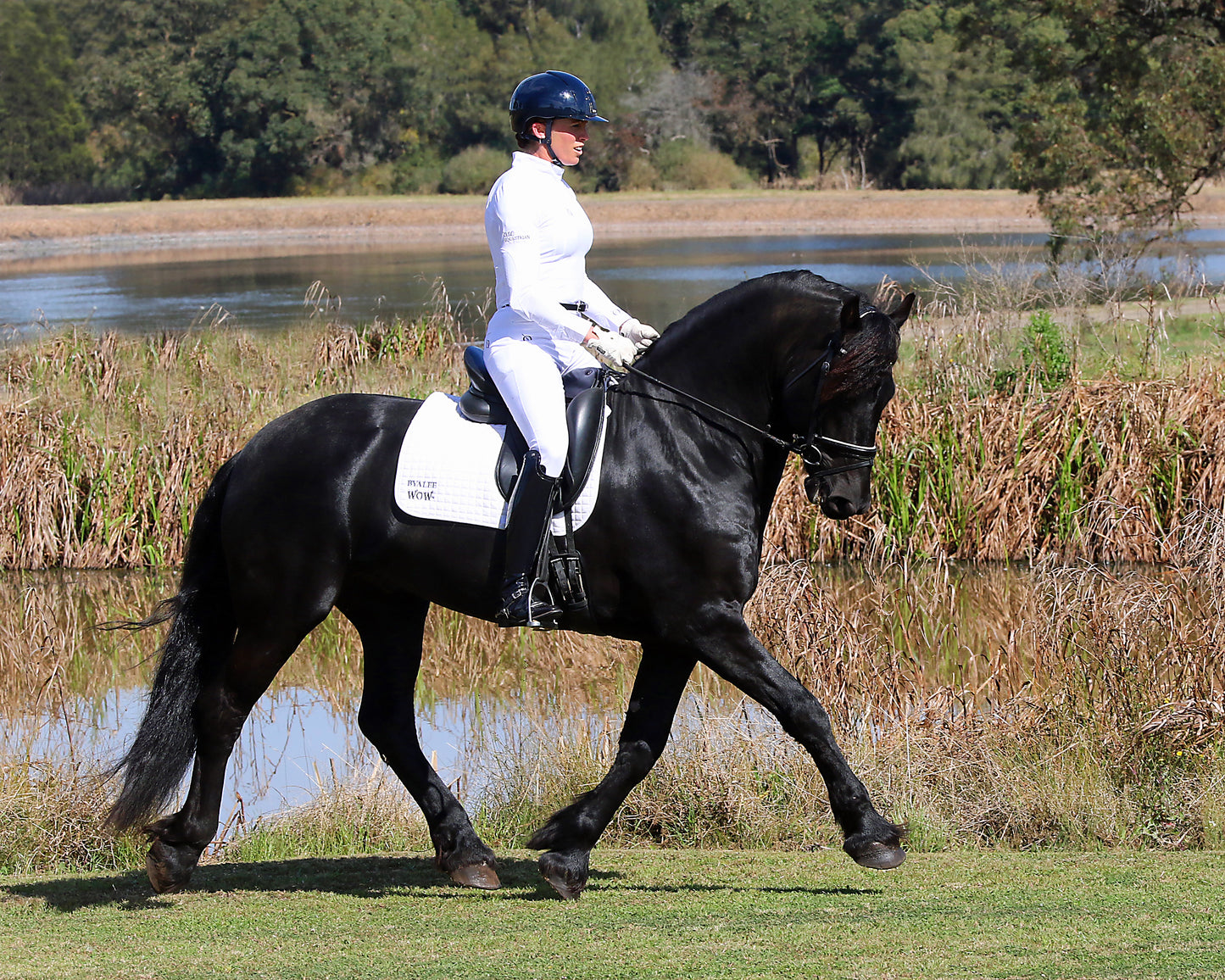 Pro Form-Fitting Breeches in Crisp White with Tailbone Padding