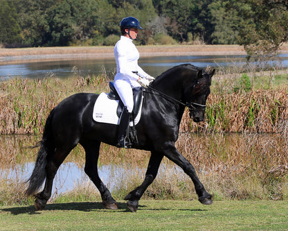 Pro Form-Fitting Breeches in Crisp White with Tailbone Padding